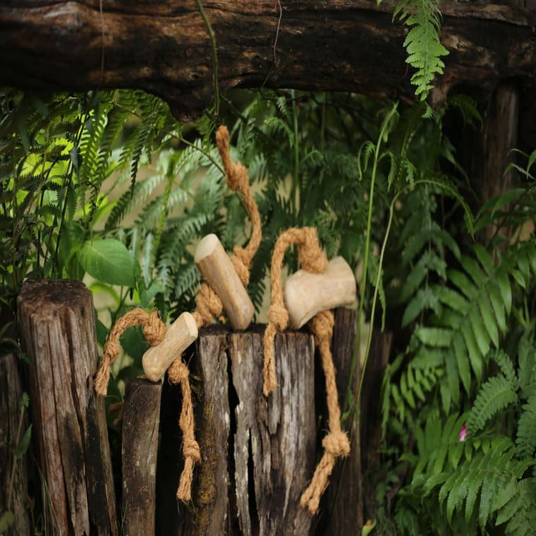 CBS Vietnam-COFFEE & COCO DOG CHEW