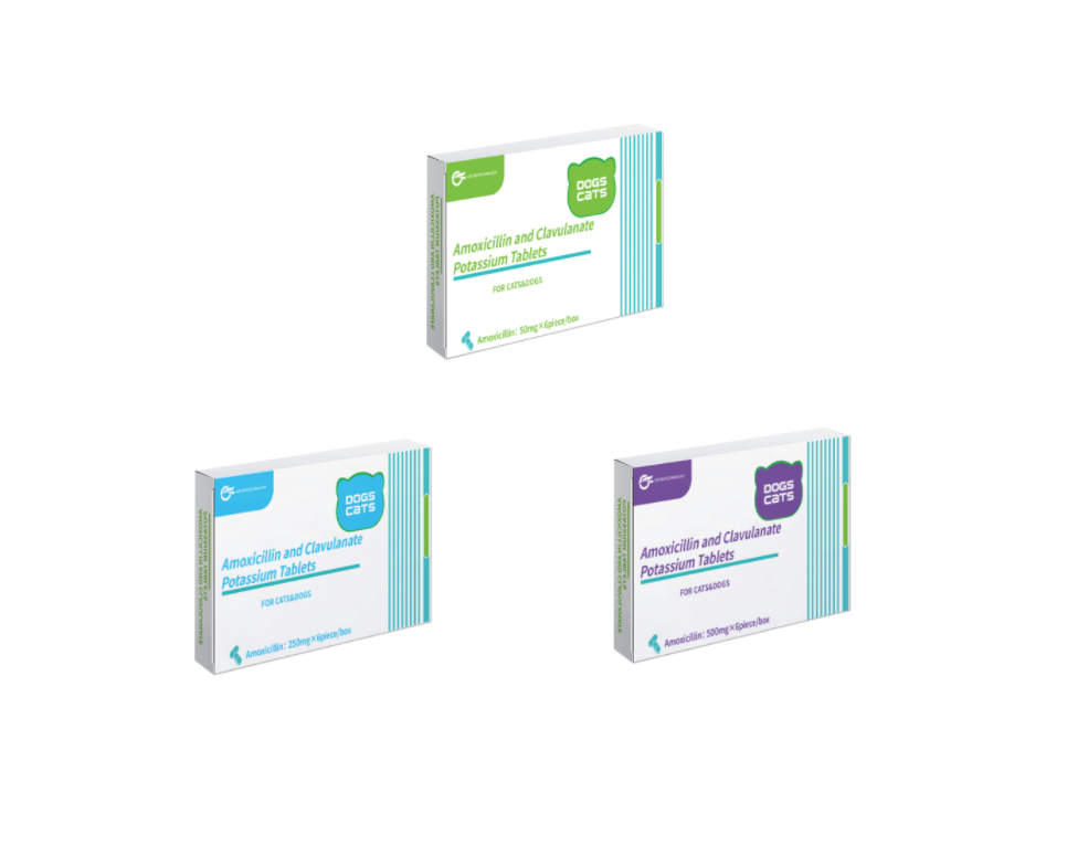 Amoxicillin and Clavulanate Potassium Tablets